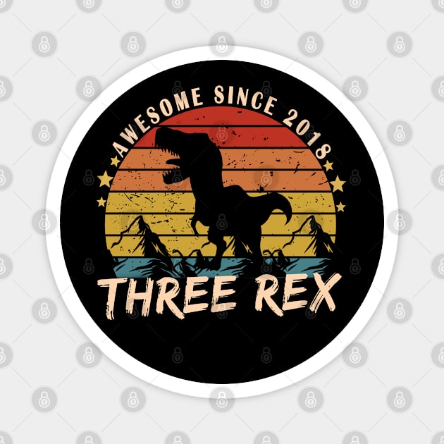 Three Rex 3rd Birthday Gifts Third Dinosaur 3 Year Old Magnet by Magic Arts